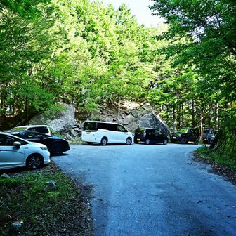 いるいる（登山口に8台駐車中）