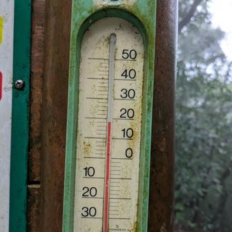 19℃