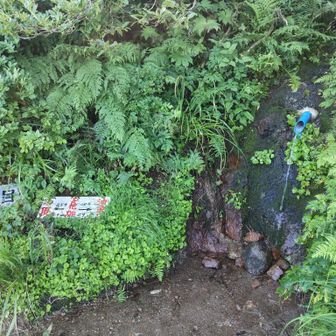 八合目水場。
冷たくて美味しかった😆
よく考えたら始めて二王子登った時のこの水場の記憶がない😅
そのあと2回は残雪期だったので雪の下だった🏔️