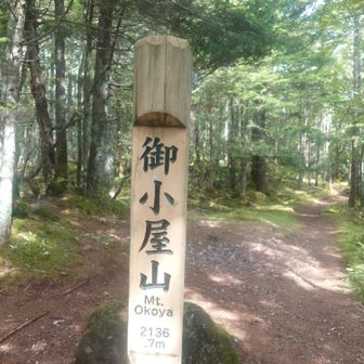 最後のピーク
この後は、小雨からの激雨でしたので写メ無し👍夏のお山は午前中勝負ですね～って新ためて思いました🫠
有り難う御座いました🙋
美濃戸口山荘で雨宿りして、コヒー貰って、コーラ買って⋯
次に行きます👍

　　つづく😎