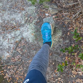 プレート見つからず、三角点で鍋山ハント👍