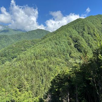 右の山が傘山