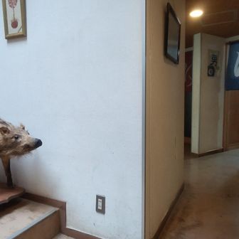 そして、丹沢の天然水風呂ですっきり～♨️
では、ちょっと回復したし帰りますかね(*´ω｀)