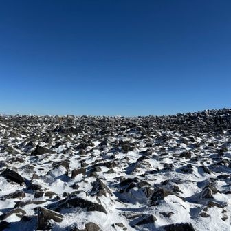 戻るのもたいへん、ロシアンルーレット