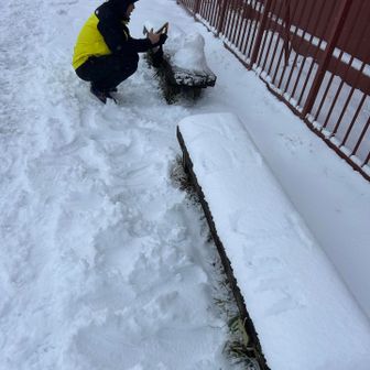 Junさん
なんかこしょてます🤭