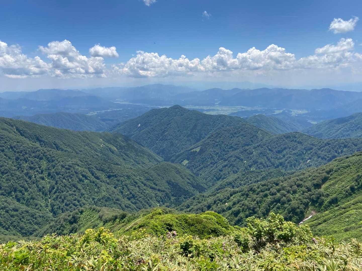 大又登山口-小又山 往復コースの写真