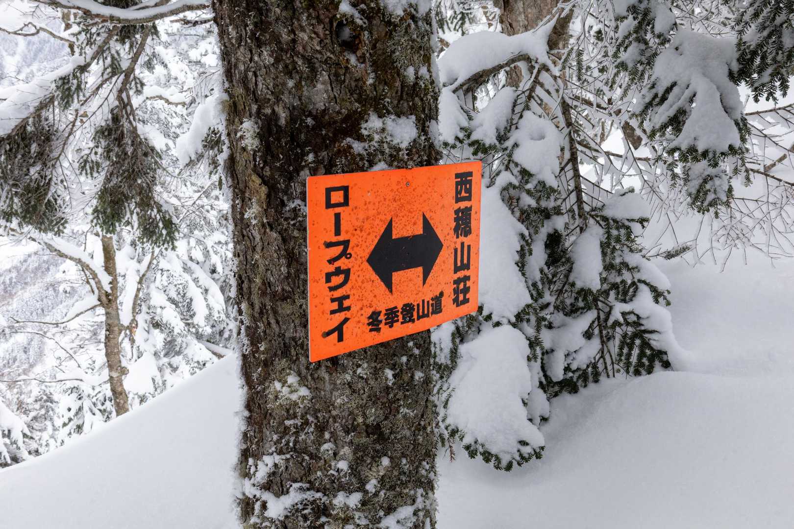 冬季登山道を示してくれる目立つ色の案内板
助かりますね