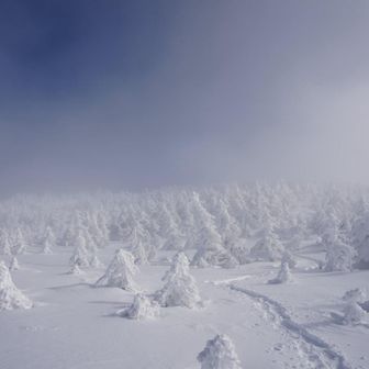 スノーモンスターズ！
