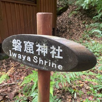 昨日までの雨で、登山道は濡れてないけど、湿度がやばい💦
一気に汗だくに💦