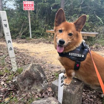 俎石山の一等三角点タッチ🐾