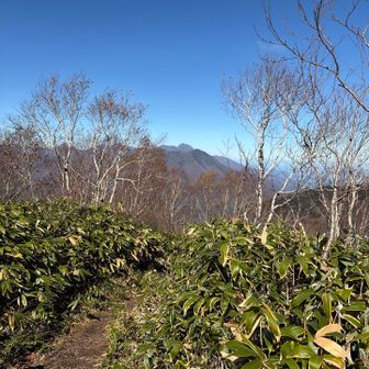 妙高山