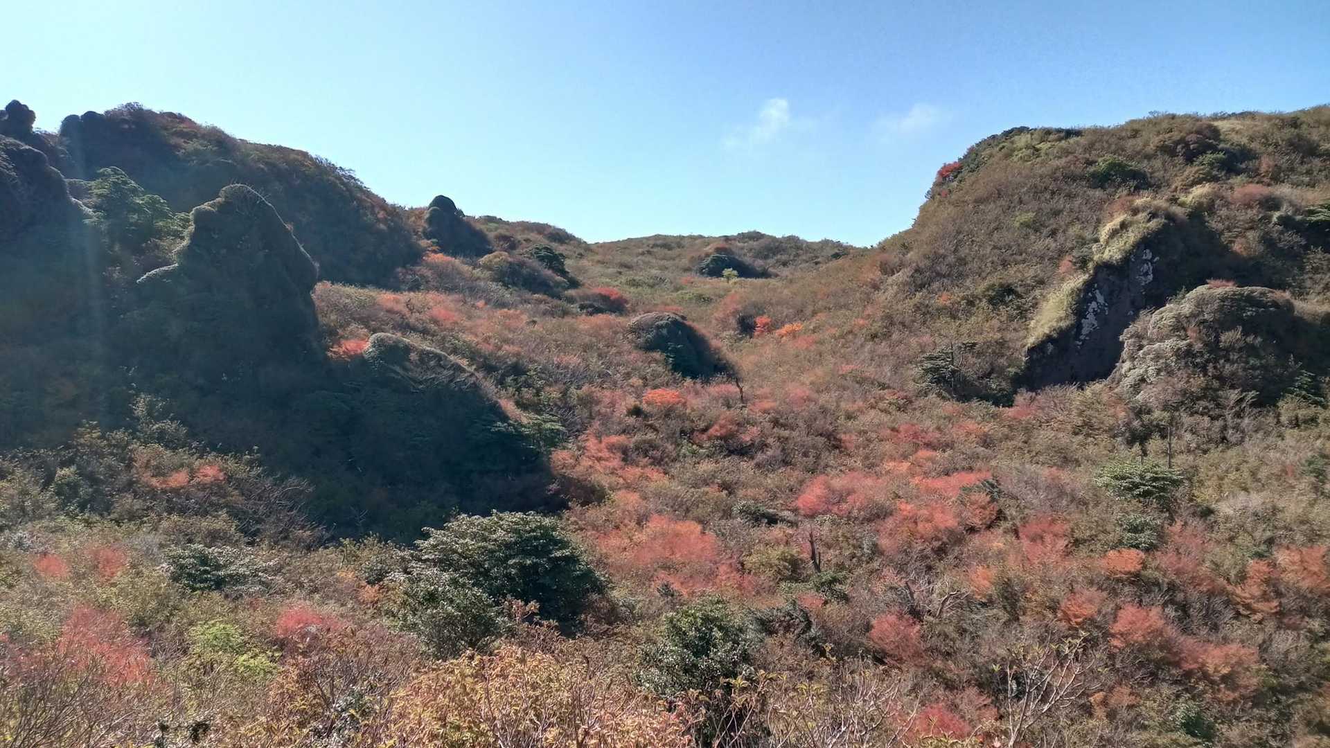 振り返るとこの景色。