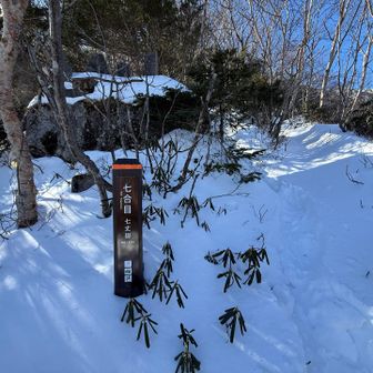 8合目まではと思ったけど、ワイでは太刀打ちできず。この辺りで撤退宣言(もちろんスマートに☝️( º言º)  )