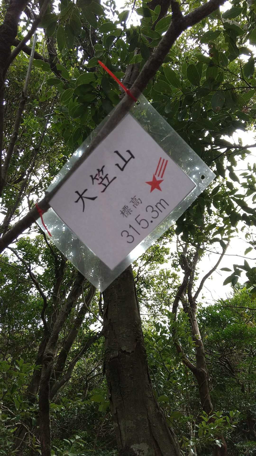 大笠山（山口県）の写真