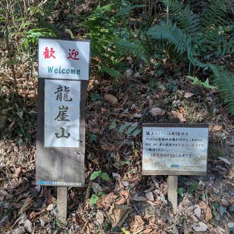 歓迎されました