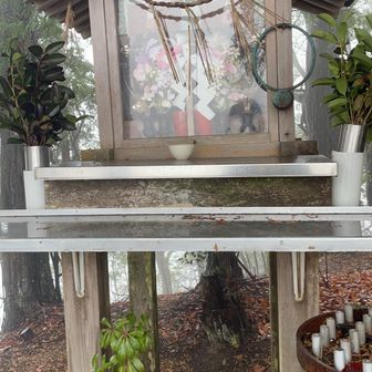 いつも手を合わさせて貰うところです！！