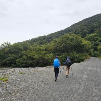 砂防工事車両の林道を少し歩きます。