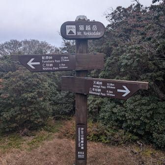 ネッコ🐱ネッコ😼

天城峠〜この辺はアップダウンは無いものの道が荒れ気味でペース上がらず
霜も溶けていて泥濘箇所多数