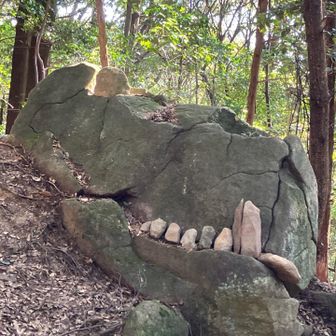 ゴジラ岩🪨こんにちは〜