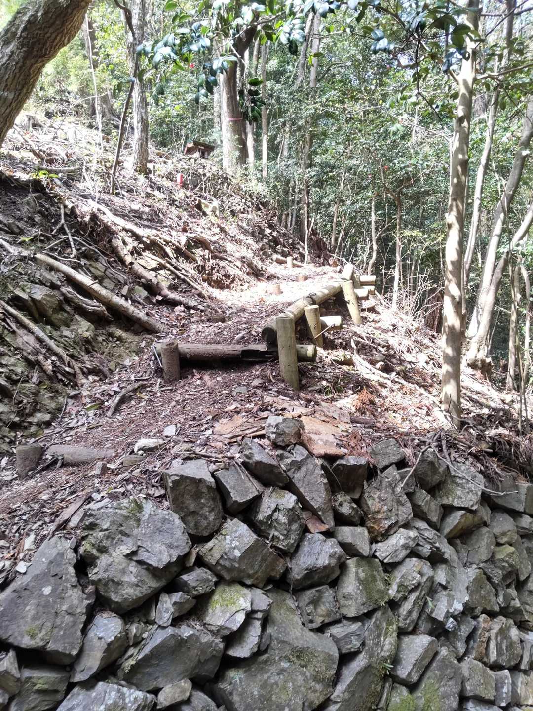 この辺に家があり、あとは道が歩きやすくなりました。