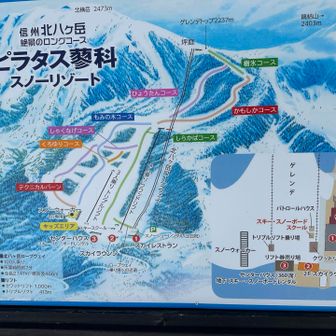 スキー客も⛷️たくさんいたよ。