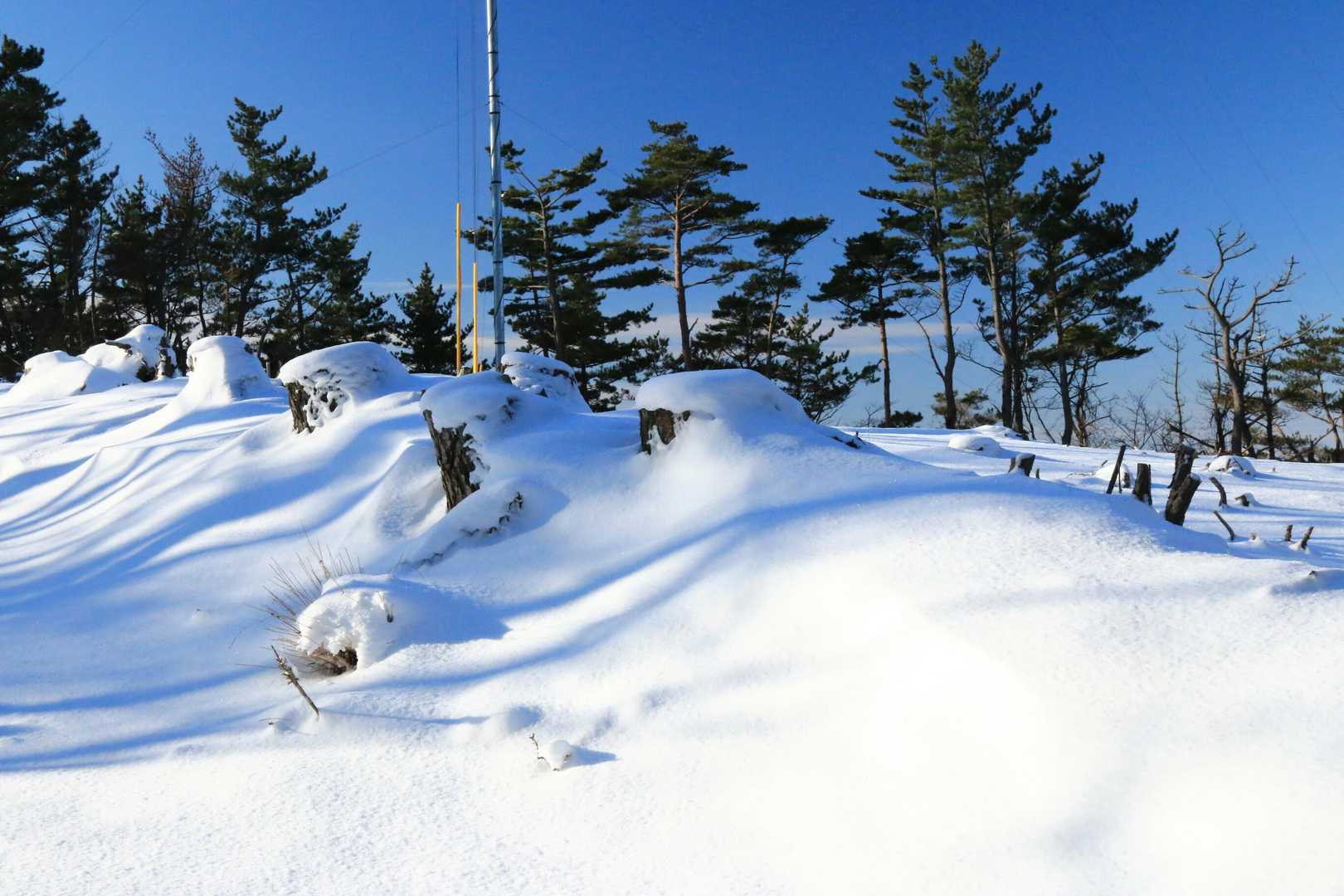 思った以上の積雪
小萩山の山頂
