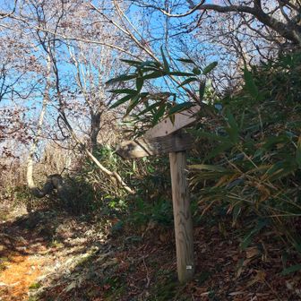 最後の分岐を進んで