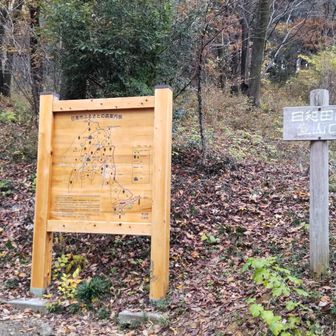 ここから登ります🚶