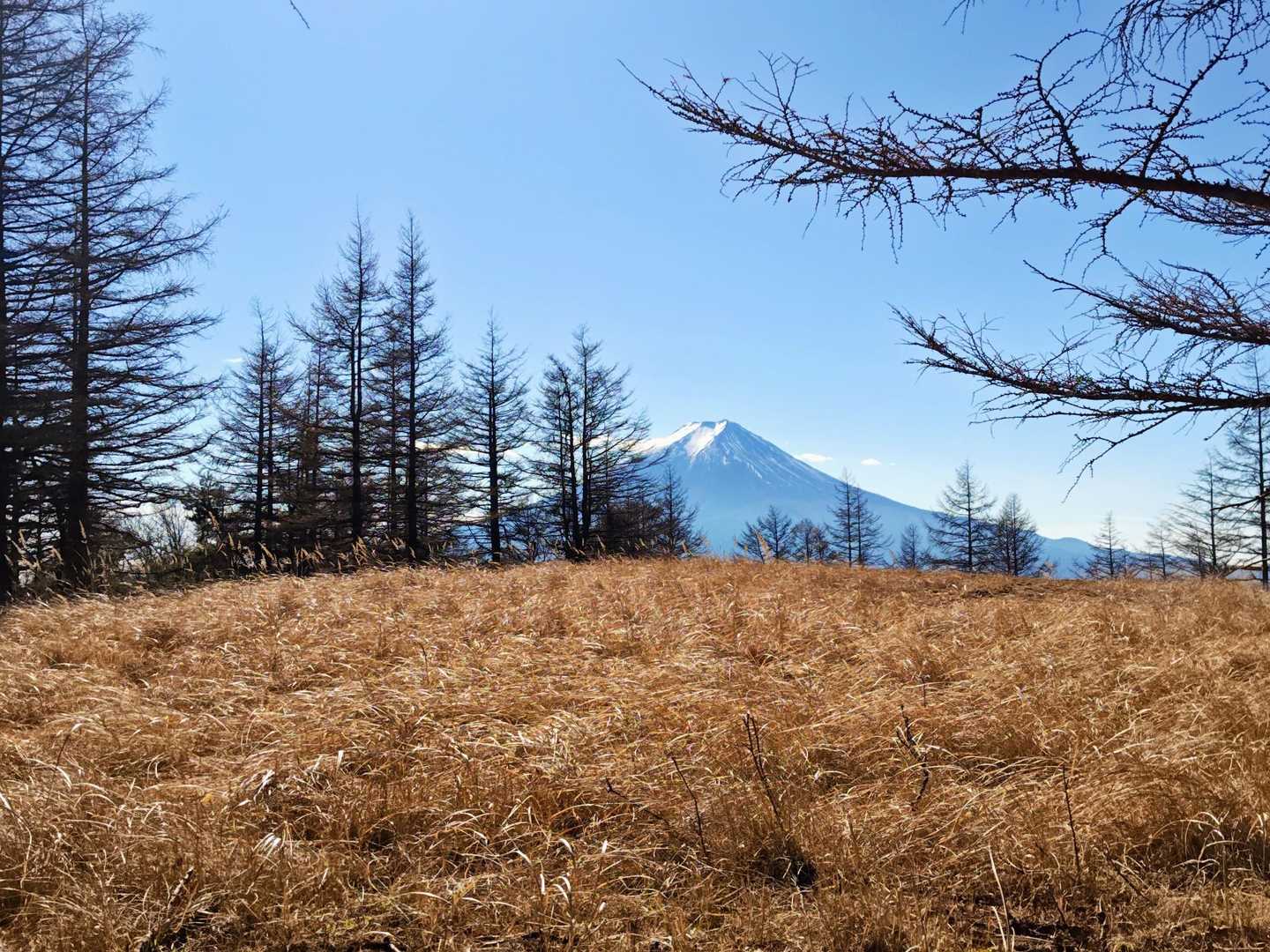 ここからの景色も好き💕🗻✨