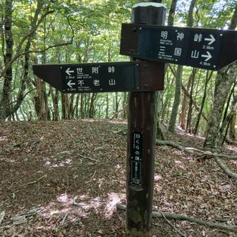 白クラノ頭　鳥甲山みたい