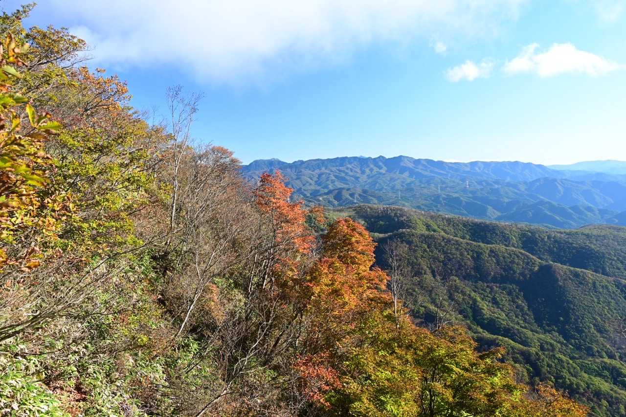 長七郎山 往復コースの写真
