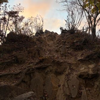この急坂を登り切れば、再び山頂に到着です。