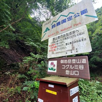 ｺｸﾞﾙﾐ谷登山口から登る
駐車場まで歩いて6分位の
登山口から〜
路駐取締りが、
この辺キツイ🚨⚡