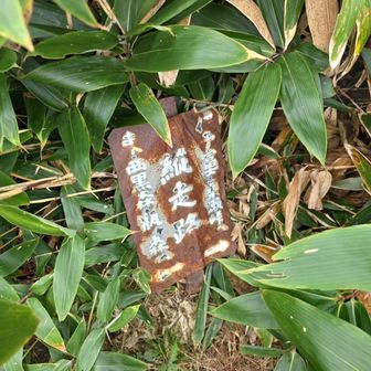 錆がいい感じ