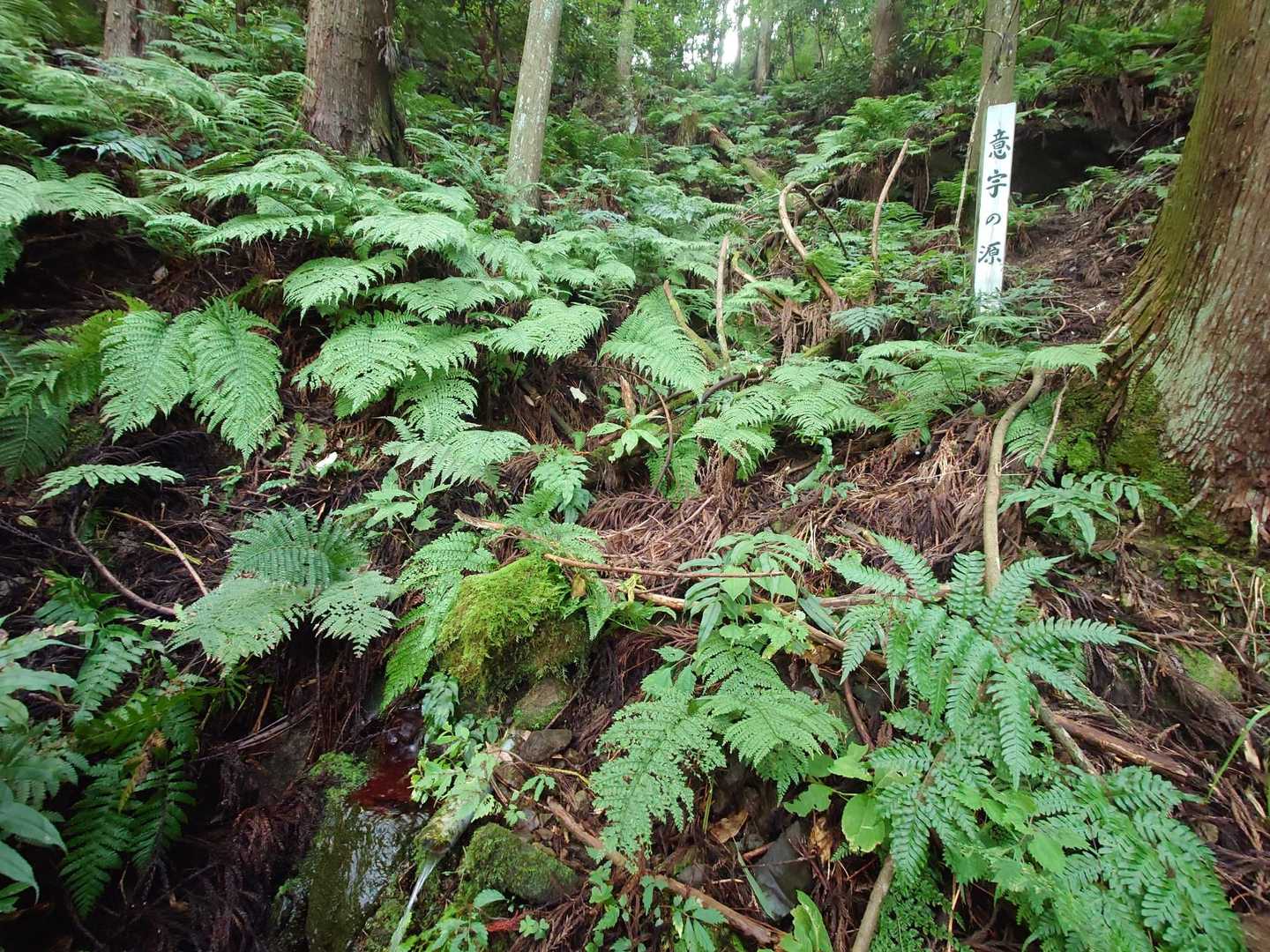 意宇(おう)の源とは、天狗山から湧き出る清水のことで、意宇川の水源だそうです。