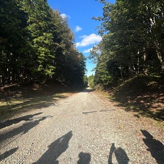 撮影スポットになってる