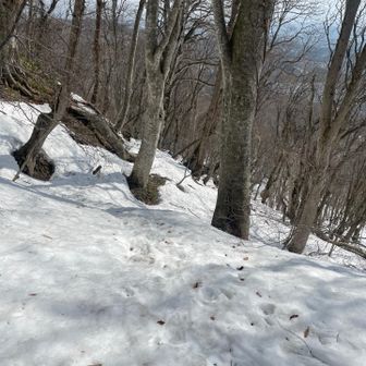 雪腐っています。