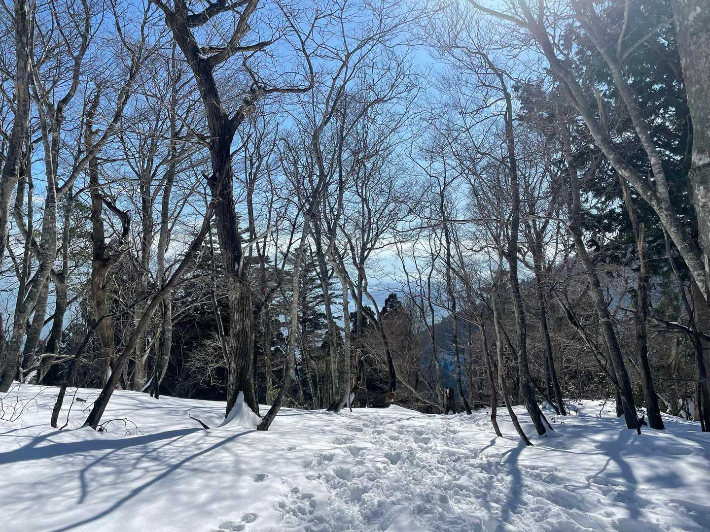 琵琶湖も見えてきました👀