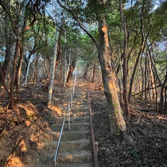 下りから見上げました💦
やっぱり階段、凄い🤣