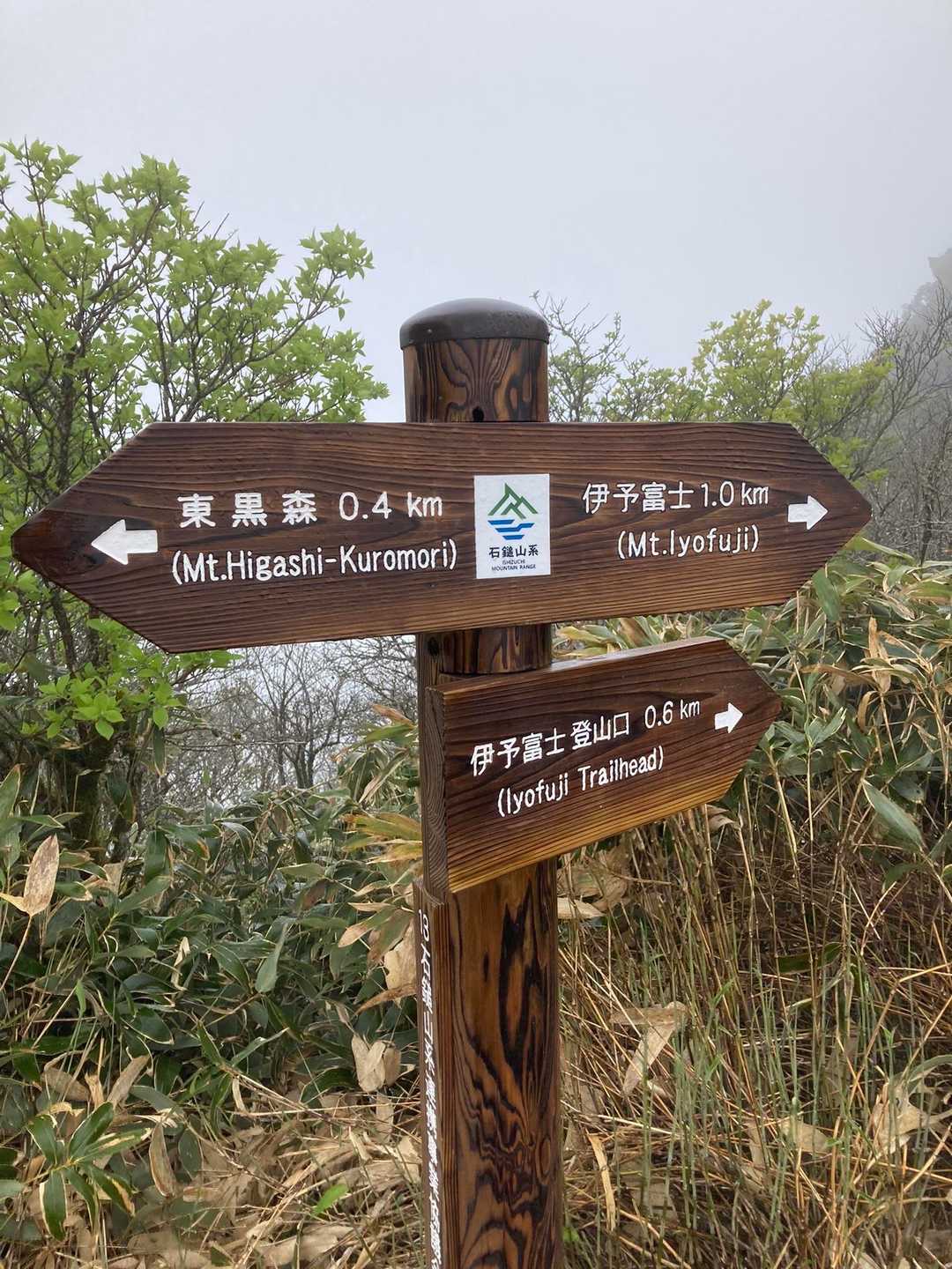 伊予富士登山口からの合流地点