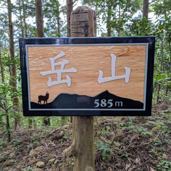 軽荷で岳山山頂到着🪽