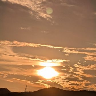 出た　とたんに暑い🫠夕陽なのに