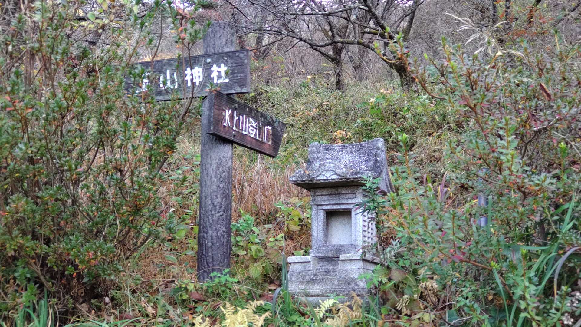 氷上山 往復コースの写真