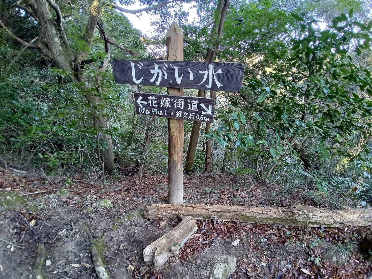 じがい水