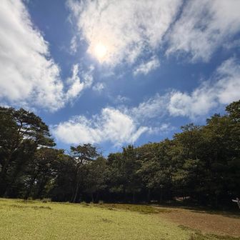 気持ちよくてちょっとお昼寝