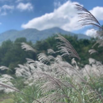 すっかり秋だね🍁