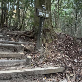 ここから登山道です