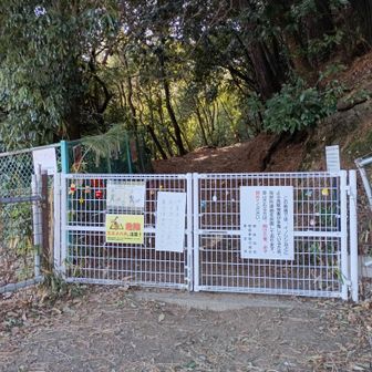 上の池横登山口