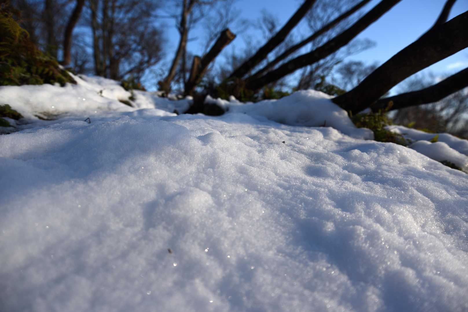 今シーズン初雪！
（でも数日で溶けそう）