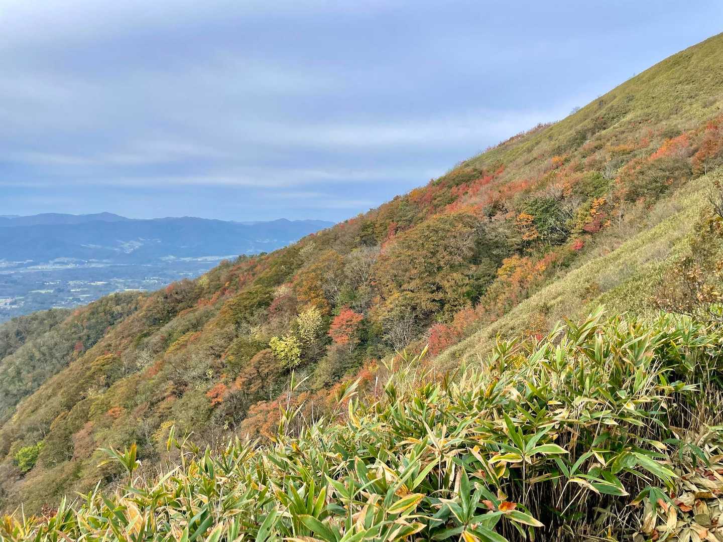 犬挾峠-下蒜山 往復コースの写真